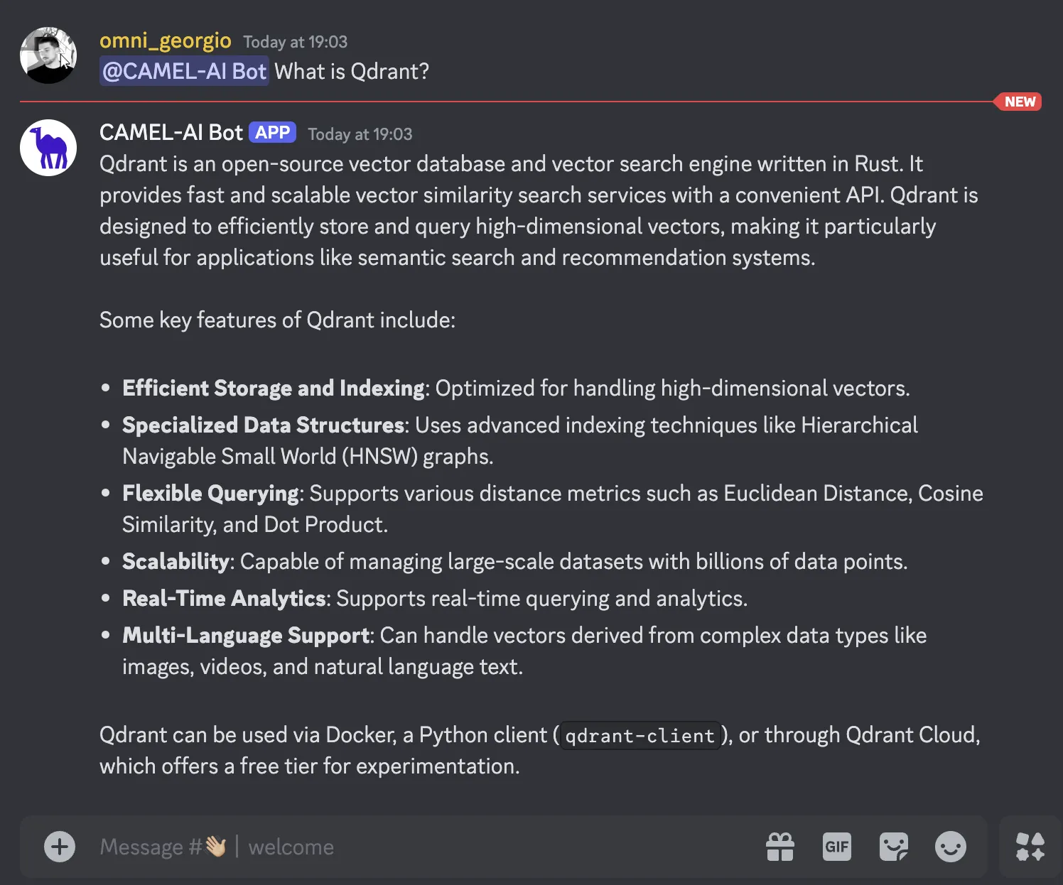 CAMEL Discord Bot 对话结果