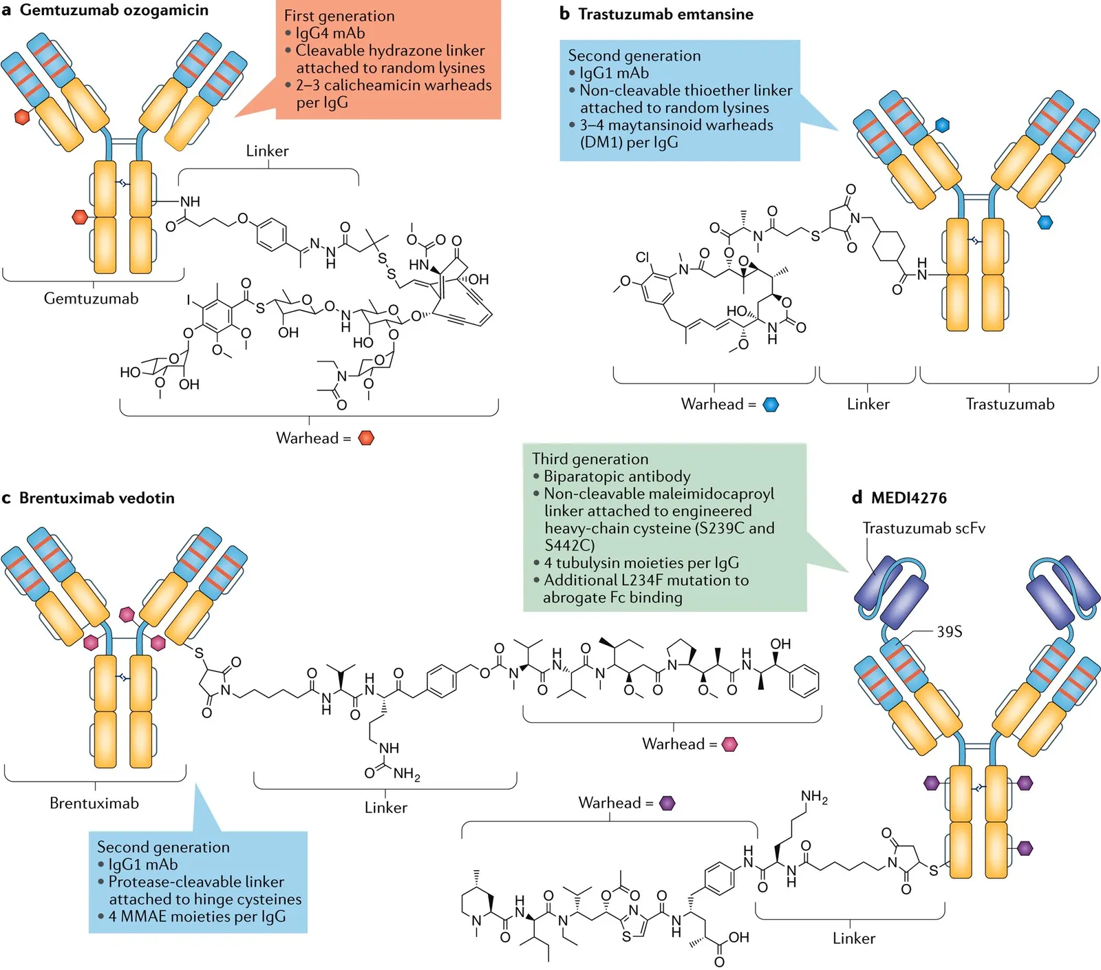DeepChem ADC 分子生成结果