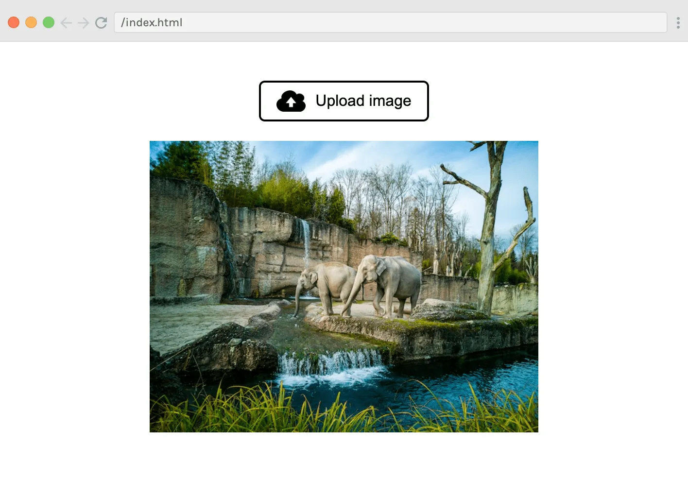 Transformers.js JavaScript 目标检测演示界面
