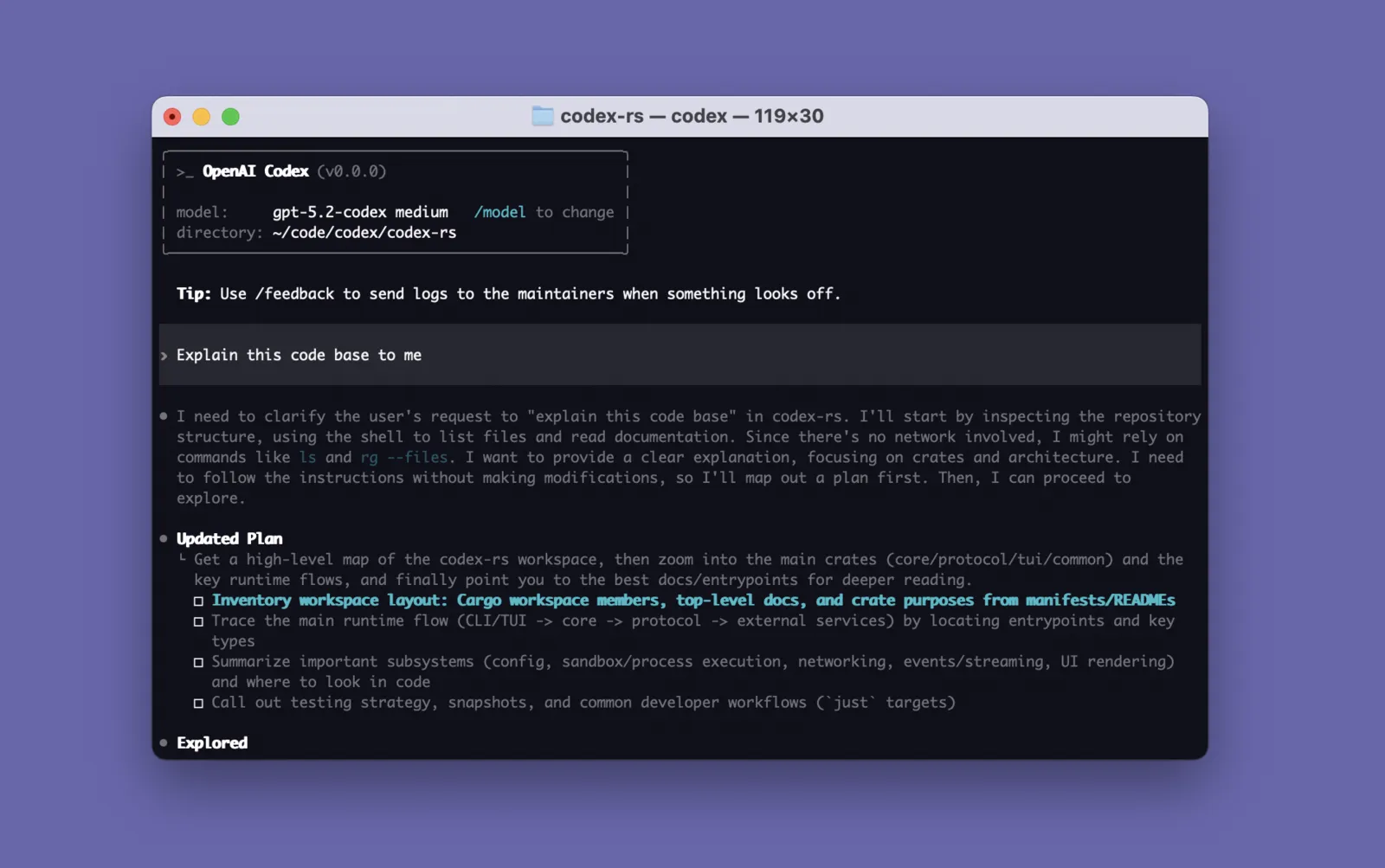 Codex CLI 终端启动画面